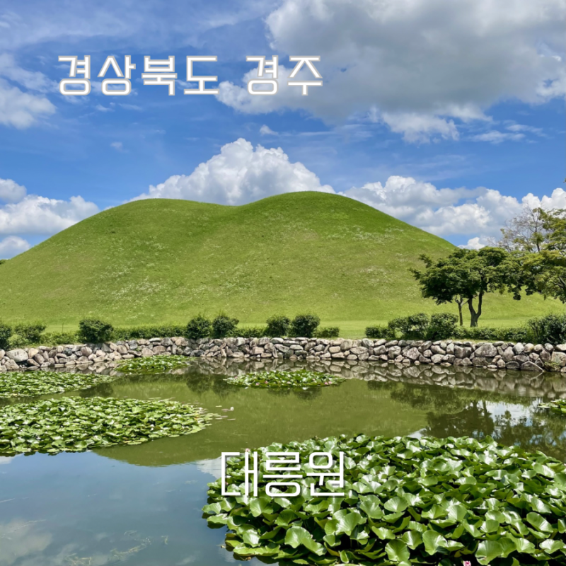 여름 대릉원 천마총 입장료 주차장 할인 후기 경주 가볼 만한 곳