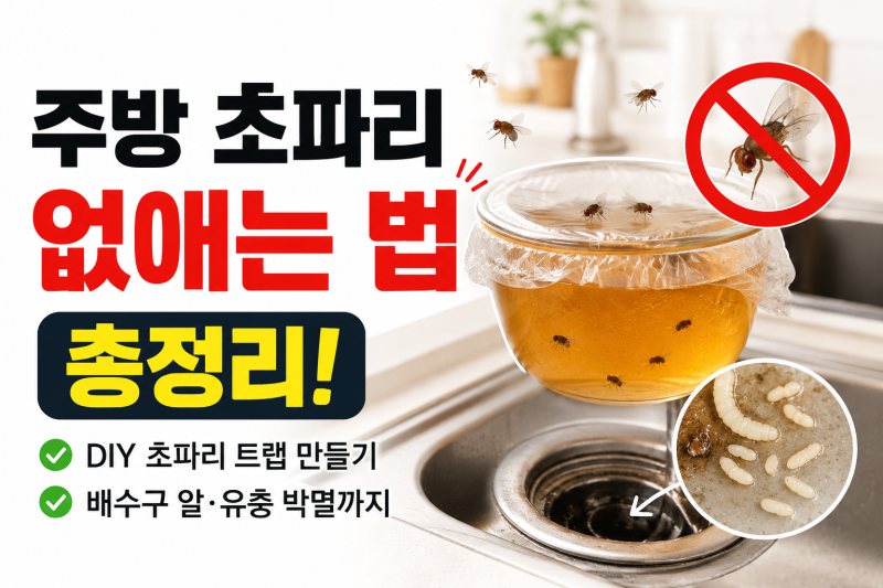 주방 초파리 없애는 법 총정리! DIY 초파리 트랩 만들기부터 배수구 알·유충 박멸까지 (feat. ....