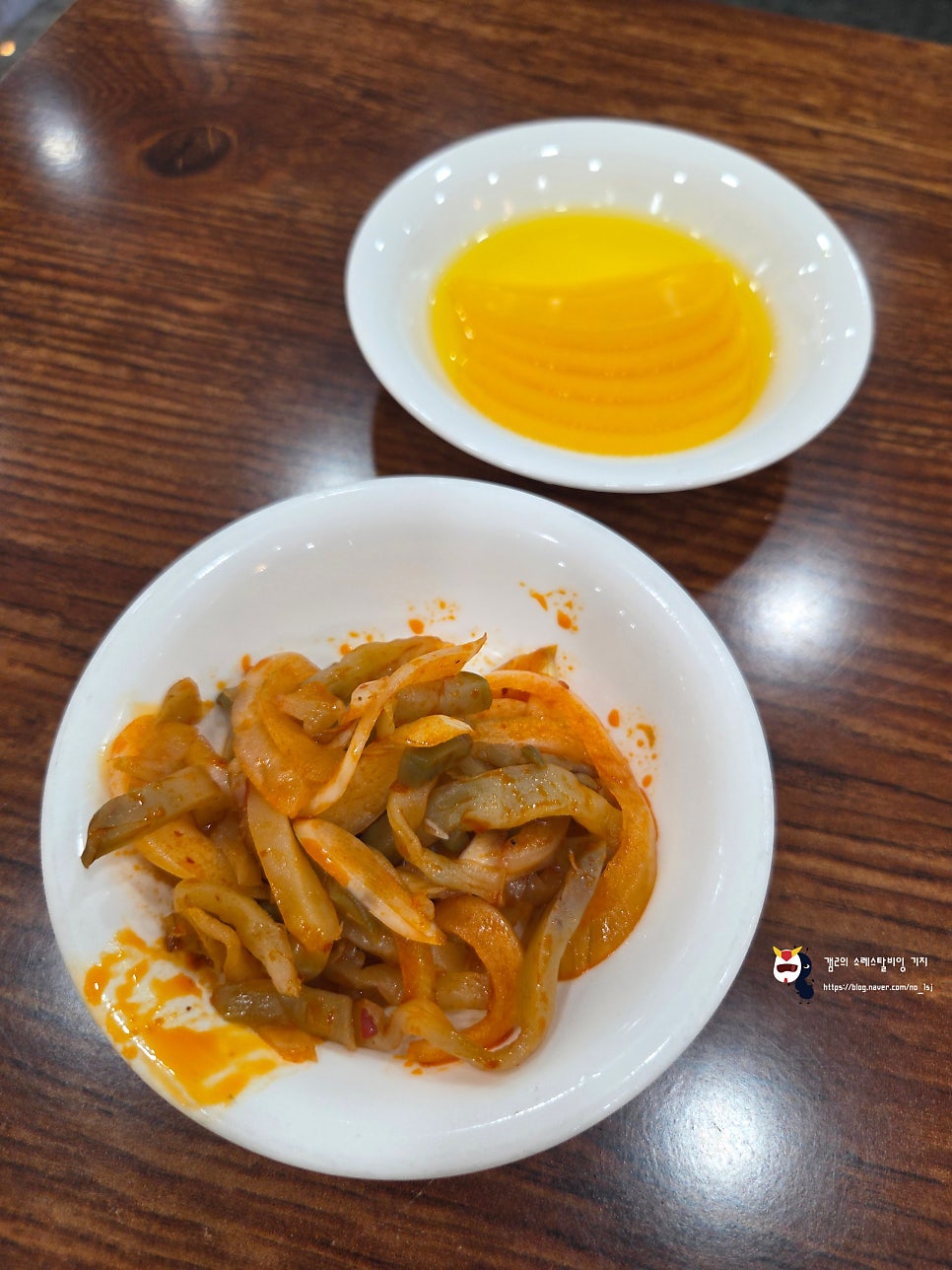 하이보 사진 5
