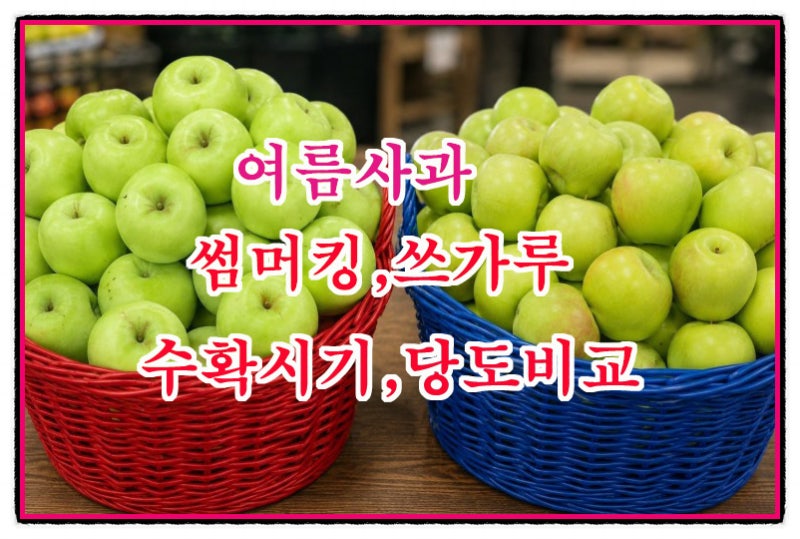 여름사과 썸머킹 쓰가루(아오리) 당도 비교 수확 시기와 맛차이