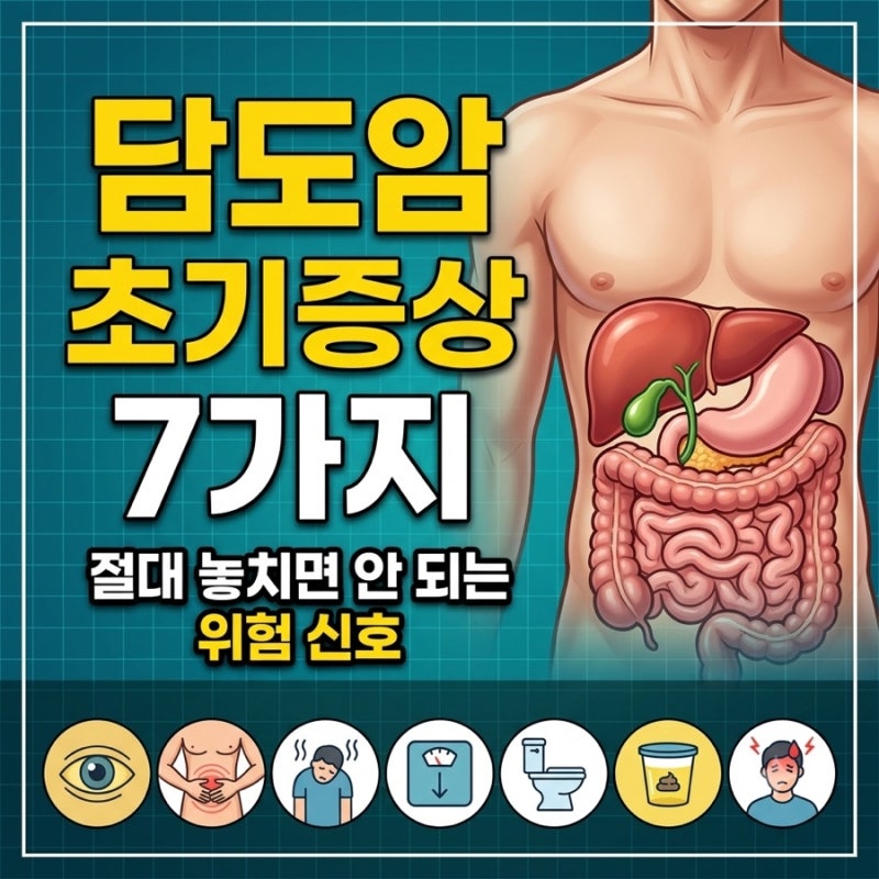 담도암 초기증상 7가지, 절대 놓치면 안 되는 위험 신호