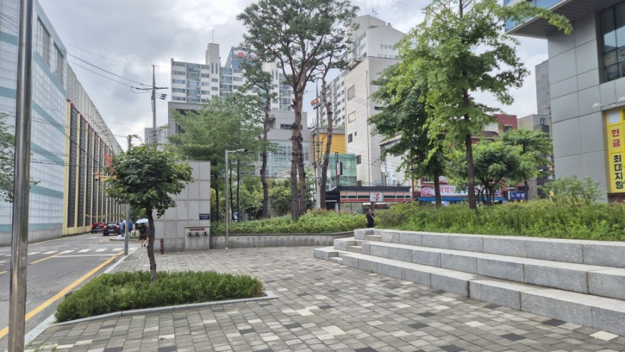 오보타르트 사진 5