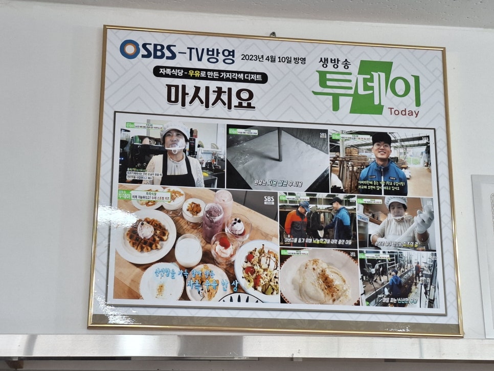 마시치요 사진 5