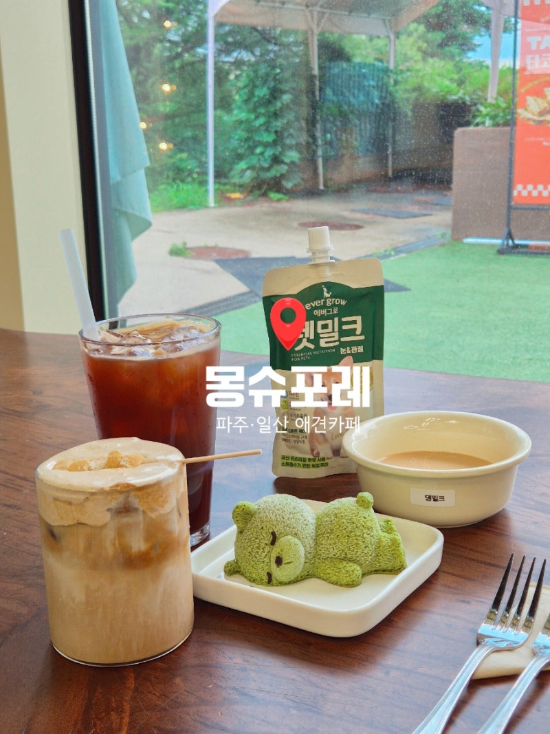 [파주·일산 애견카페] 몽슈포레｜반려견 입장료 없는 대형 운동장 카페