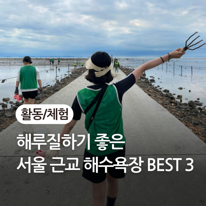 해루질하기 좋은 서울 근교 해수욕장 BEST 3