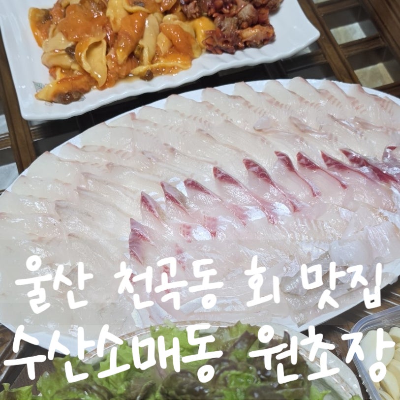 수산소매동 사진 1