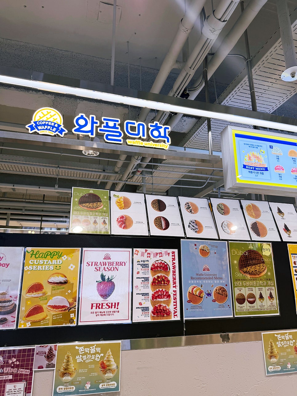 와플대학 롯데마트구리캠퍼스 사진 2