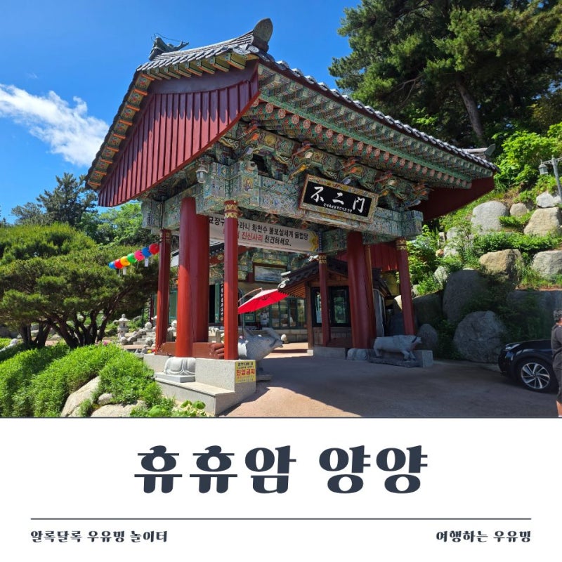양양 휴휴암에서 아이와 물고기 먹이주기 가능!