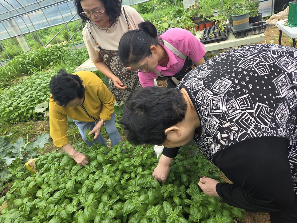 한나그린힐 사진 1