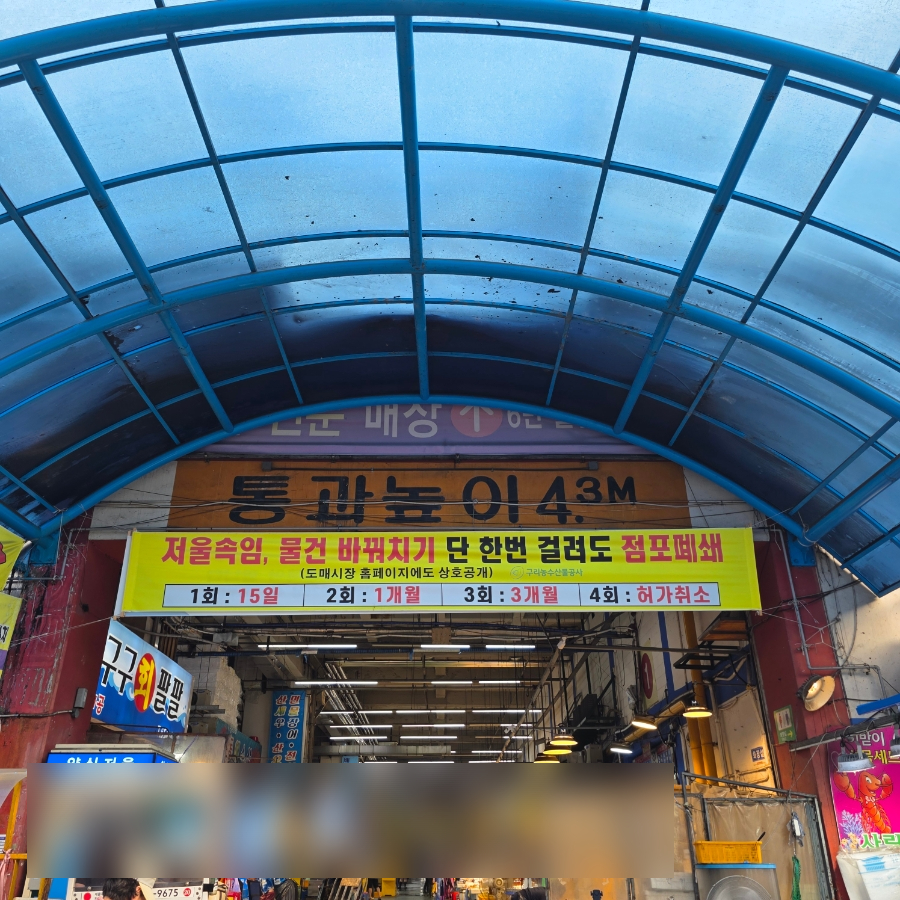 구구회팔팔 사진 3