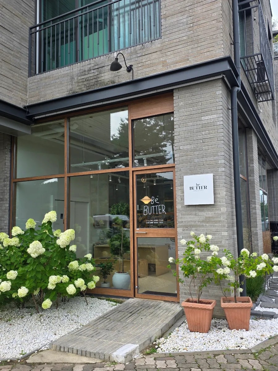 비버터 사진 3