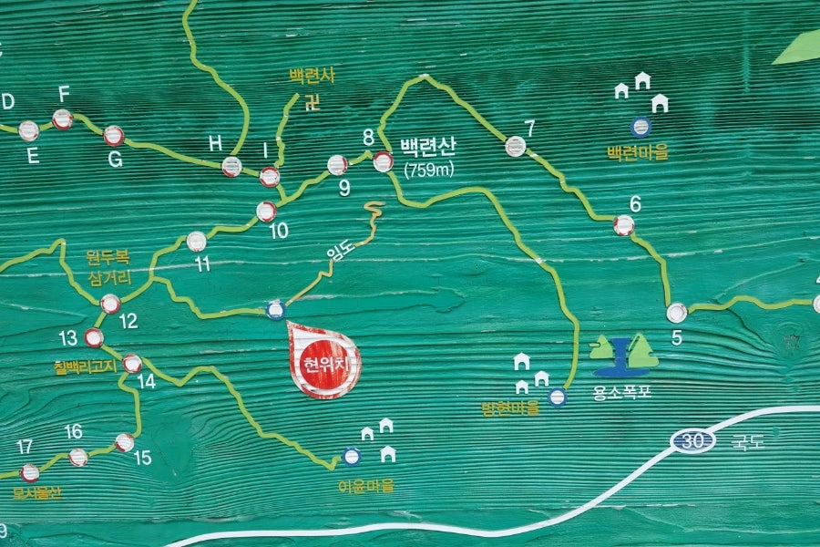 백련산 사진 6