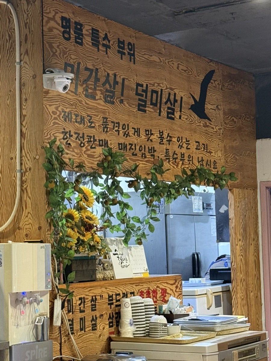 원조부산갈매기 사진 4