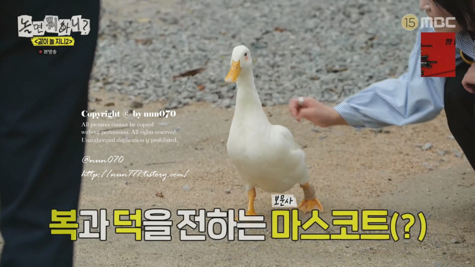 석모도수목원 사진 5