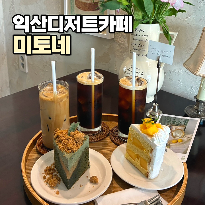 미토네 사진 1