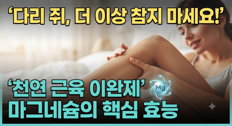 [마그네슘 가격] 다리 쥐나는 이유와 마그네슘 병원 처방 가격, 약국 및 코스트코 구입 가격 ....