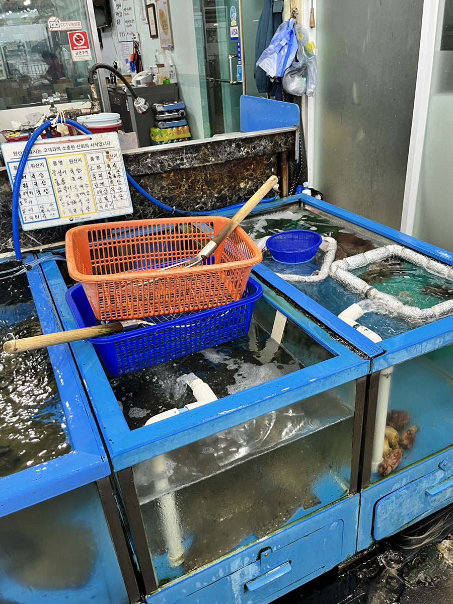 남양호 사진 5