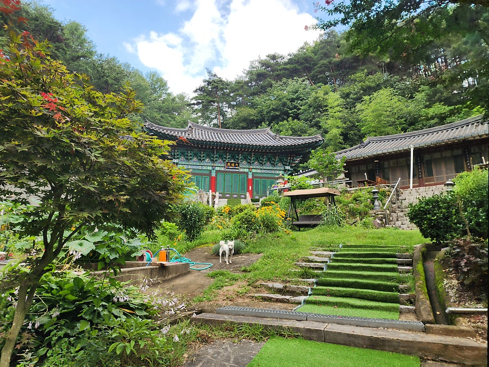 성령산 사진 4