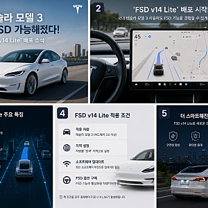 테슬라 모델 3 국내 FSD 가능해졌다! 'FSD v14 Lite' 배포 소식 및 적용 조건 총정리