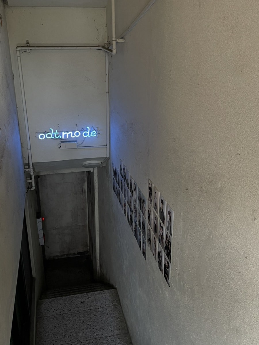 오디티 사진 5