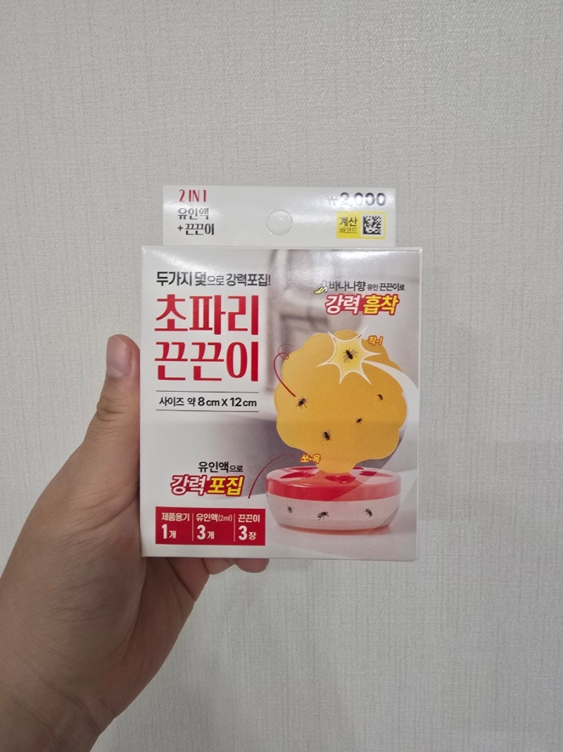 다이소 초파리 트랩 추천 후기 초파리 없애는 법