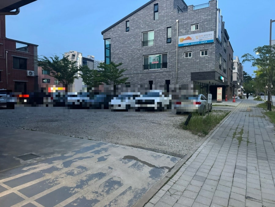 온더고 사진 3