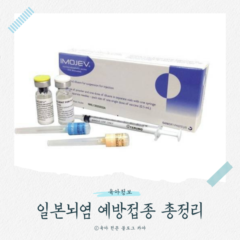 돌 아기 일본뇌염 예방접종, 백신을 선택하라고요? (생백신, 사백신, 중국산, 프랑스산)