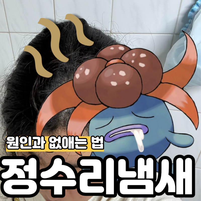 정수리 냄새 원인과 없애는 법