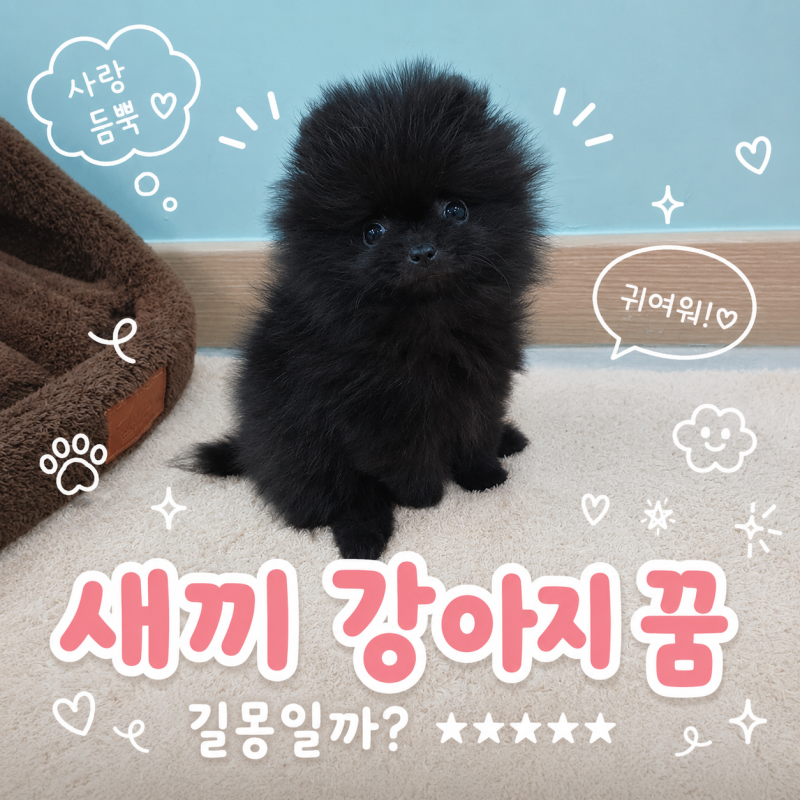 어젯밤 꾼 강아지 꿈 무슨 뜻일까? 새끼 강아지 꿈 상황별 꿈해몽
