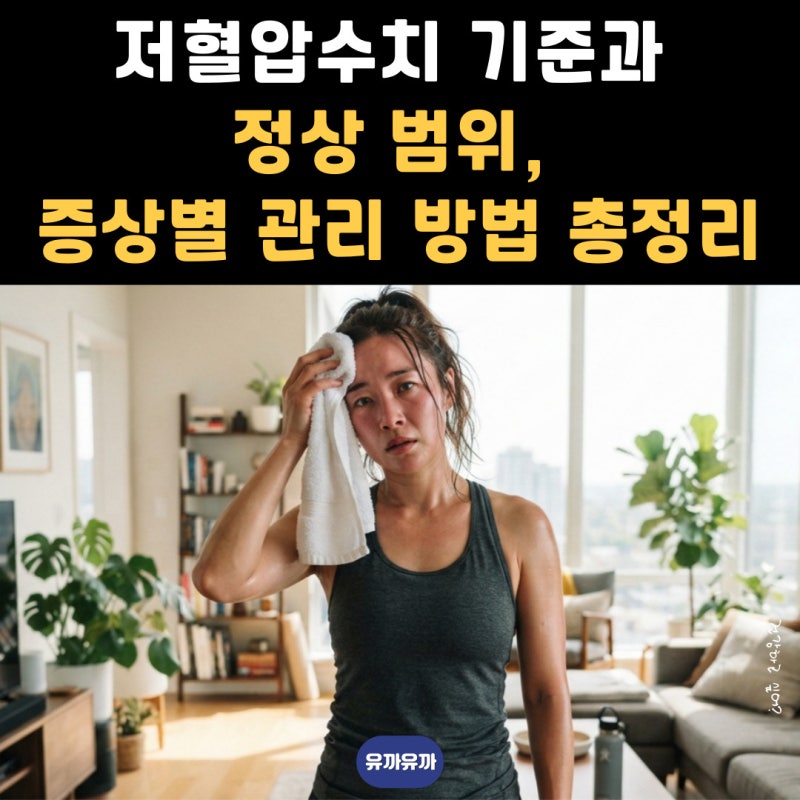 저혈압수치 기준과 정상 범위, 증상별 관리 방법 총정리