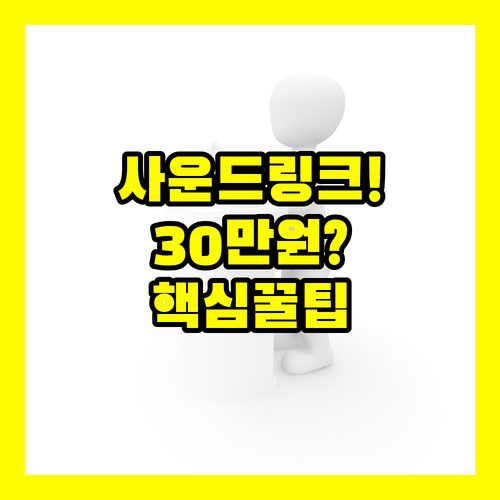 보스 사운드링크 홈 305000원 가격대가 궁금하다면 이것부터 보세요