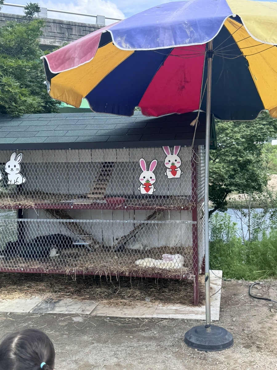 구스커피 사진 3