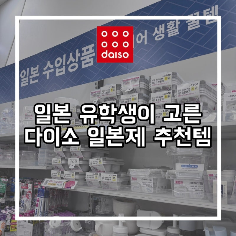 일본 유학생이 고른 다이소 일본제 주방용품 추천템