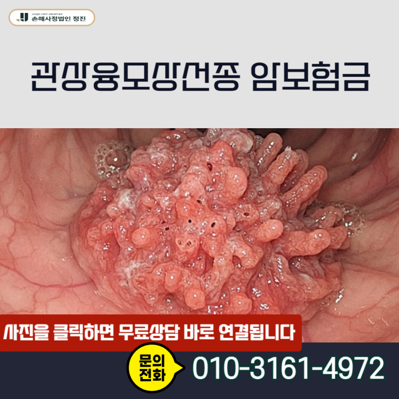 관상융모상선종 암보험금, D12 코드인데 제자리암 진단비 수령이 정말 가능할까?