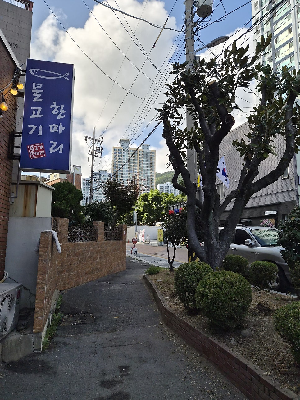 물고기한마리 사진 2