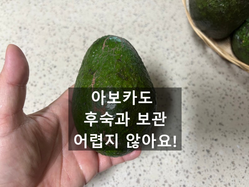 아보카도 후숙하는법, 딱 맛있을 때는 언제일까? 보관법부터 덜 익었을 때 빨리 익히는 방법....