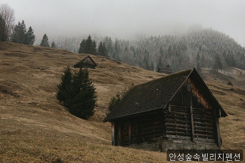 안성숲속빌리지 사진 1