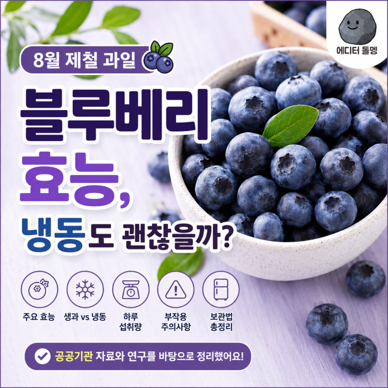 슈퍼푸드 블루베리 효능, 냉동도 괜찮을까? 하루 섭취량·부작용 총정리