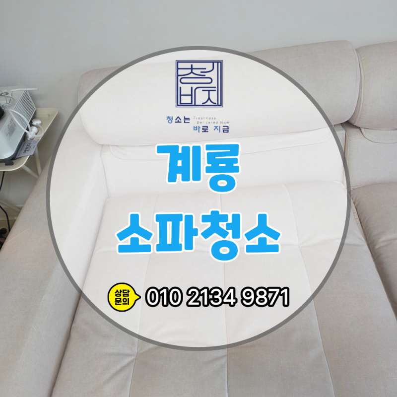 계룡 소파청소 업체, 3인 좌식 소파 얼룩 제거 후기 – 커비 스팀 세척은 왜 다를까?