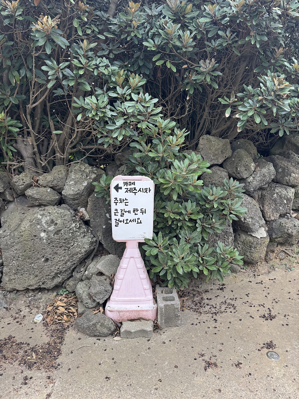 시차 사진 5