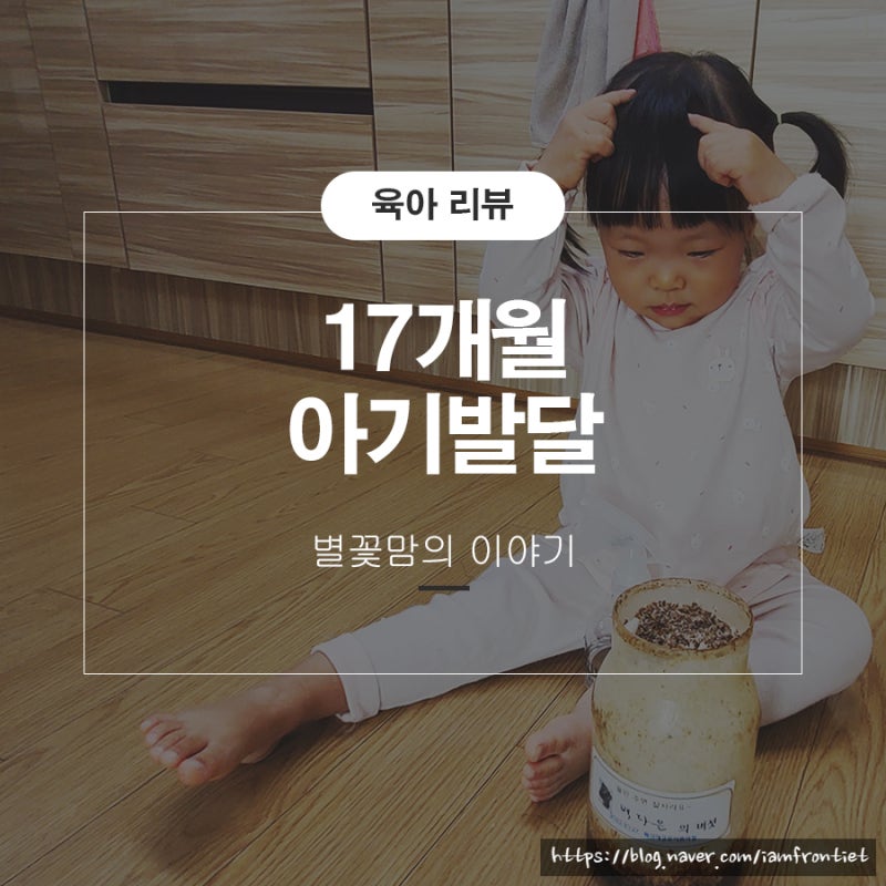 17개월 아기발달 언어 놀이 장난감 한눈에 알아보기