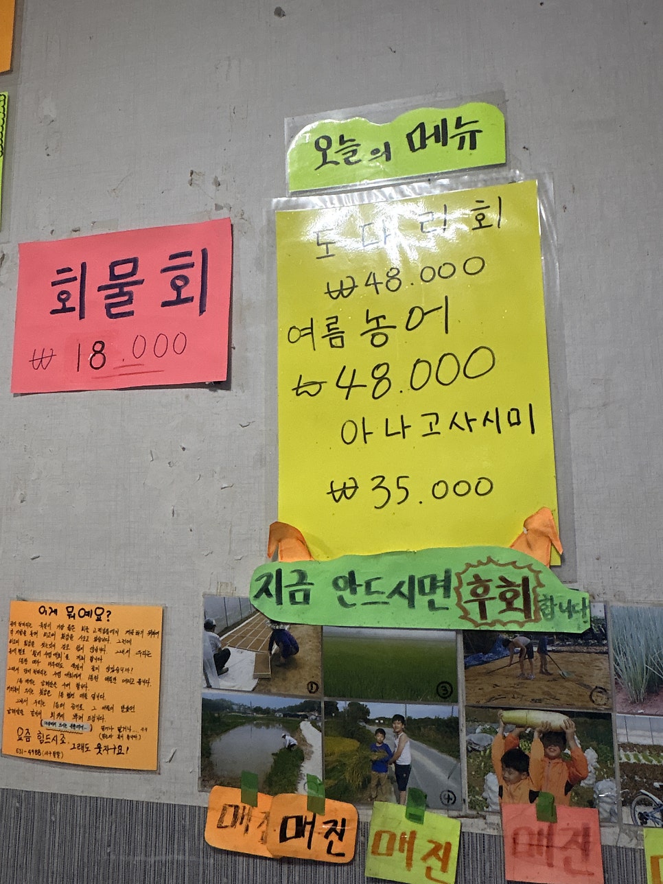 광어한마리 사진 5