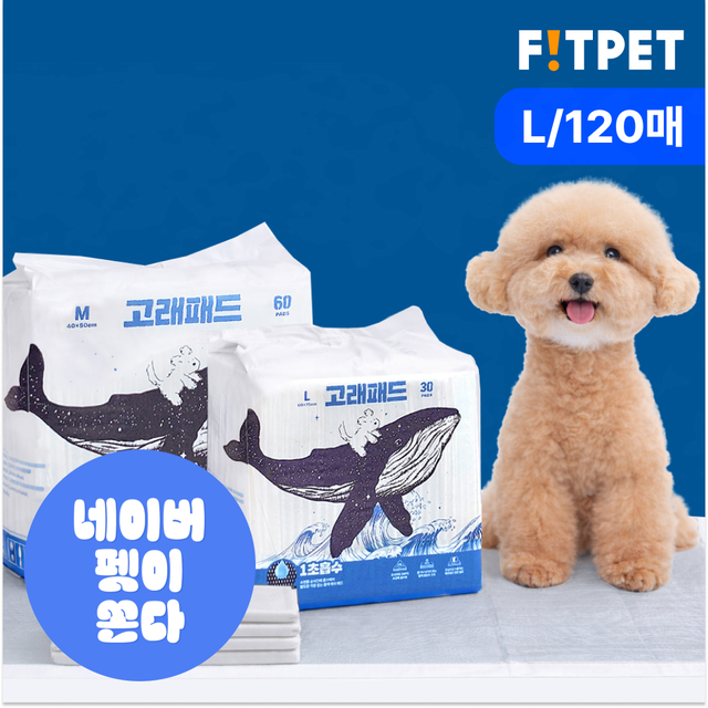 강아지 배변패드 두꺼운 애견패드 고래 고흡수 대용량 대형, 실내 배변 환경 관리