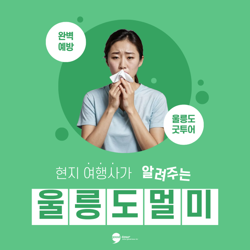 울릉도 배멀미, 현지 여행사가 알려주는 완벽 예방 가이드