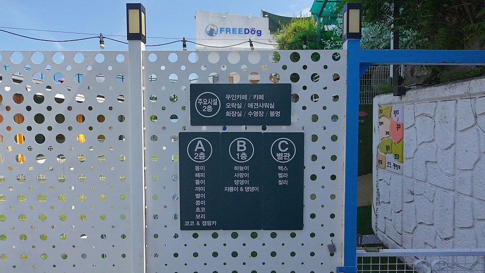 프리독펜션 사진 6