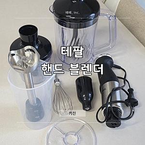 테팔 핸드블랜더 초퍼 추천 1000W 다지기 저소음 1L 대용량 도깨비방망이