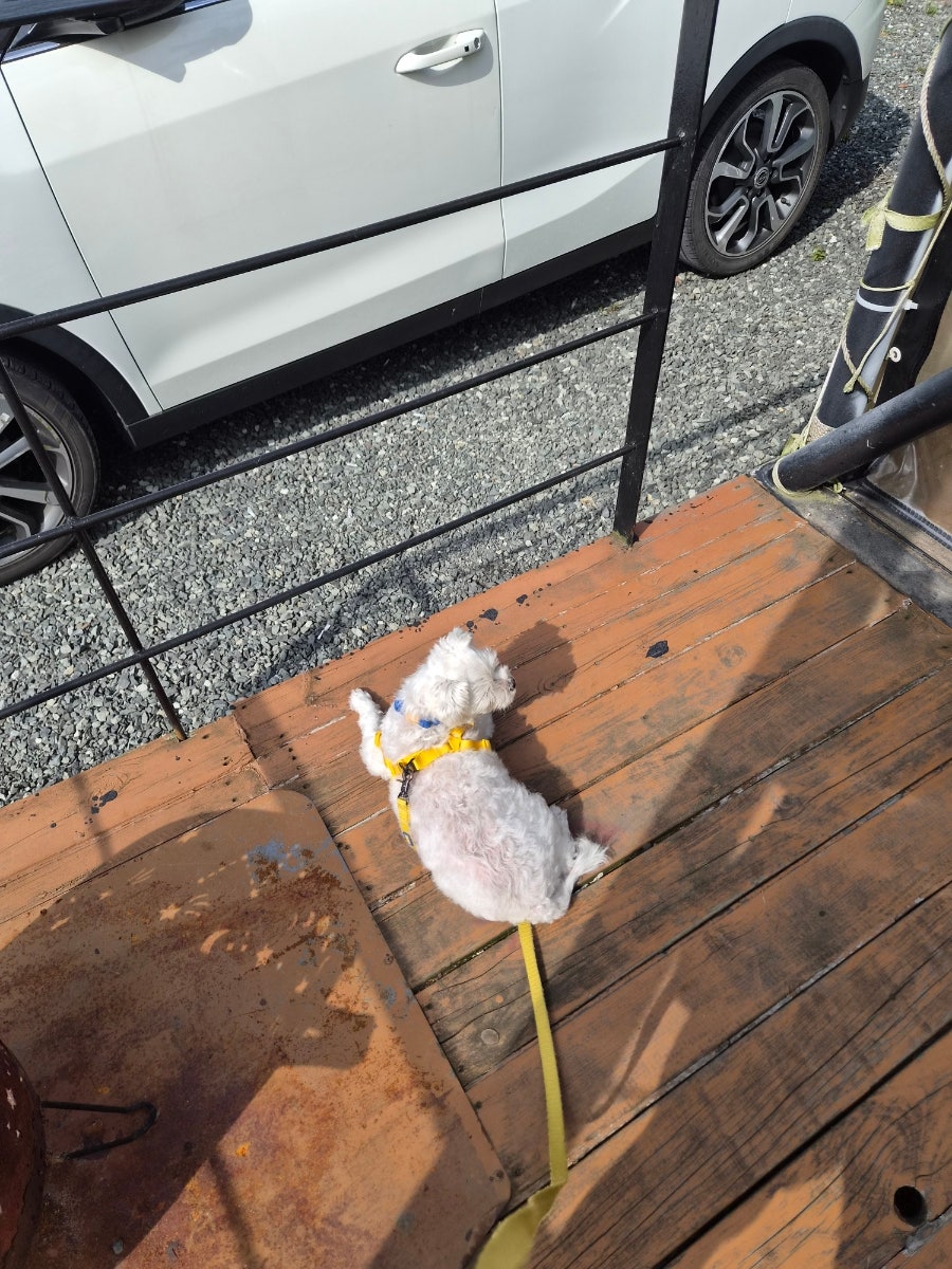 림스글램핑 사진 5