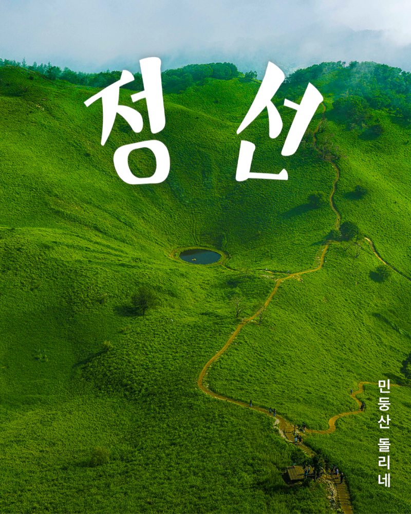 강원도 정선 가볼만한 곳 | 민둥산 돌리네, 초록 초원 속 숨겨진 국내 최대 카르스트 지형