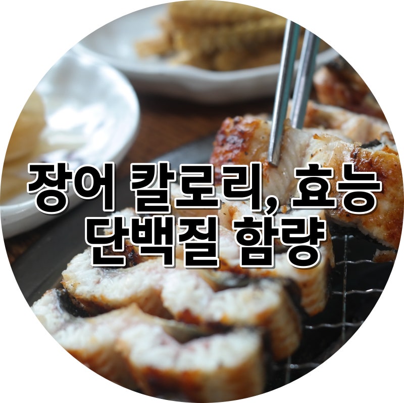 장어 칼로리와 단백질 함량! 기력회복 효능 및 부작용까지