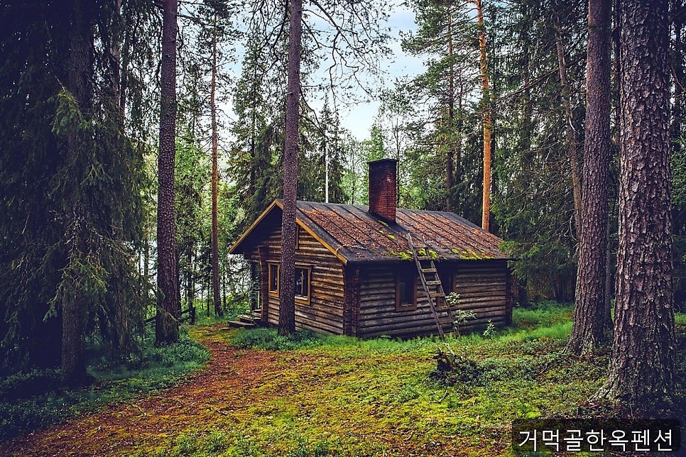 거먹골한옥펜션 사진 3